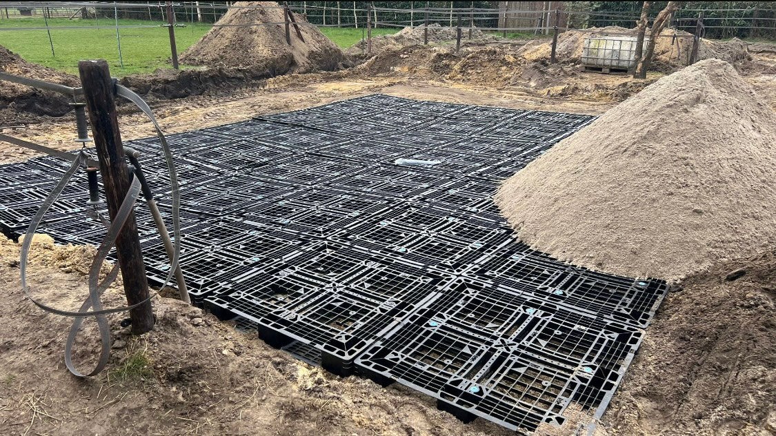 Te koop kunstof pallets paddock platen rooster grindmatten, Weidegang, 4 paarden of pony's of meer