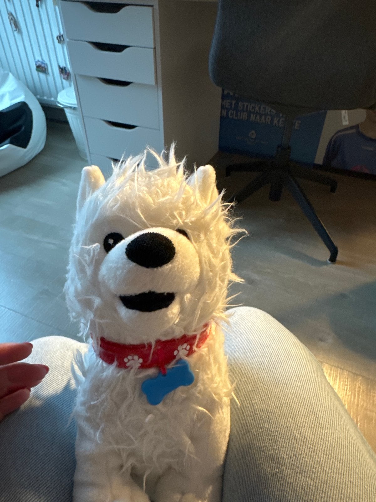 Paco de hond knuffel - gewassen, Zo goed als nieuw, Wasbaar, Wit, Hond