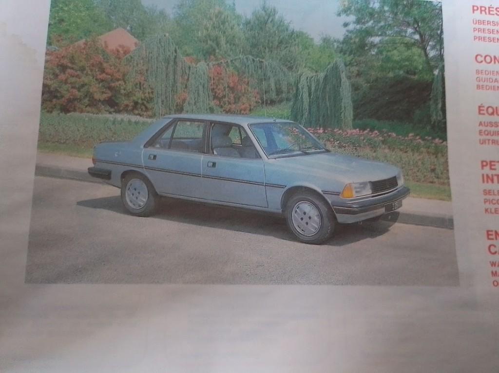 Peugeot 305 handleiding/ instructieboek Nederlands, Auto diversen, Handleidingen en Instructieboekjes, Ophalen of Verzenden