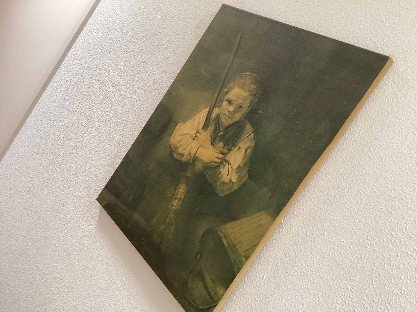Rembrandt meisje met bezem, Boeken, Ophalen of Verzenden, Zo goed als nieuw