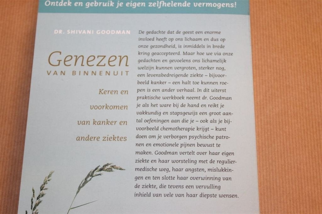 Genezen van Binnenuit — Kankerpreventie & Zelfheling, Boeken, Gezondheid, Dieet en Voeding, Ophalen of Verzenden, Gelezen