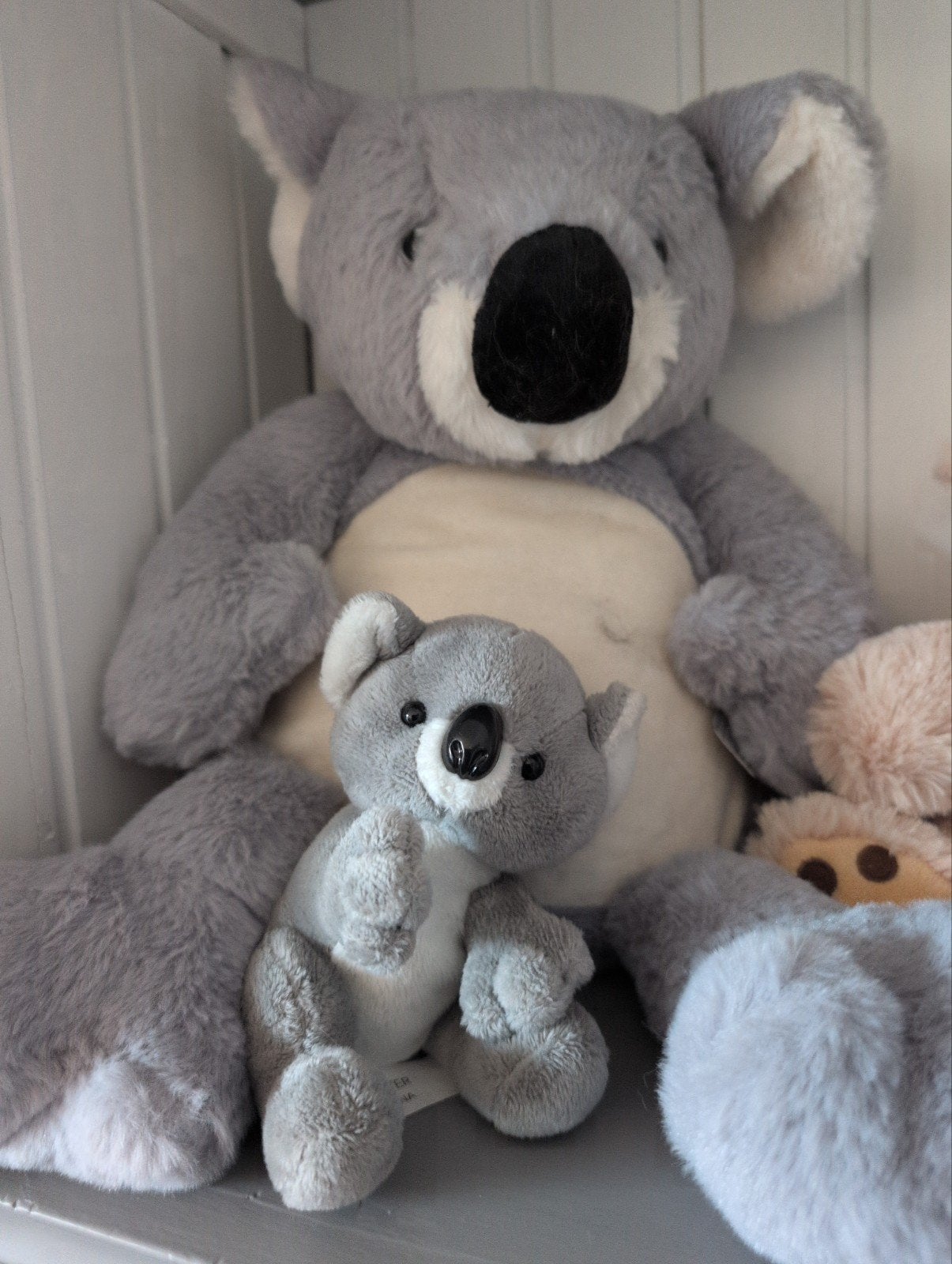 Schattige Koala Knuffels - Groot en Klein, Overige merken, Overige karakters, Overige typen, Grijs