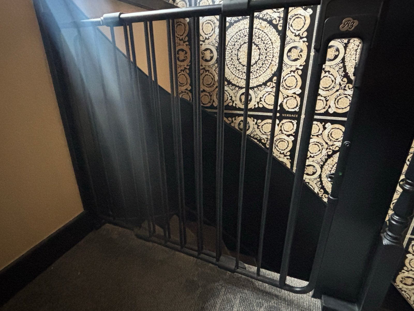 A3 Veiligheidshekje - Zwart metalen traphekje, Ophalen of Verzenden, Zo goed als nieuw, Metaal of IJzer, Schroefhekje
