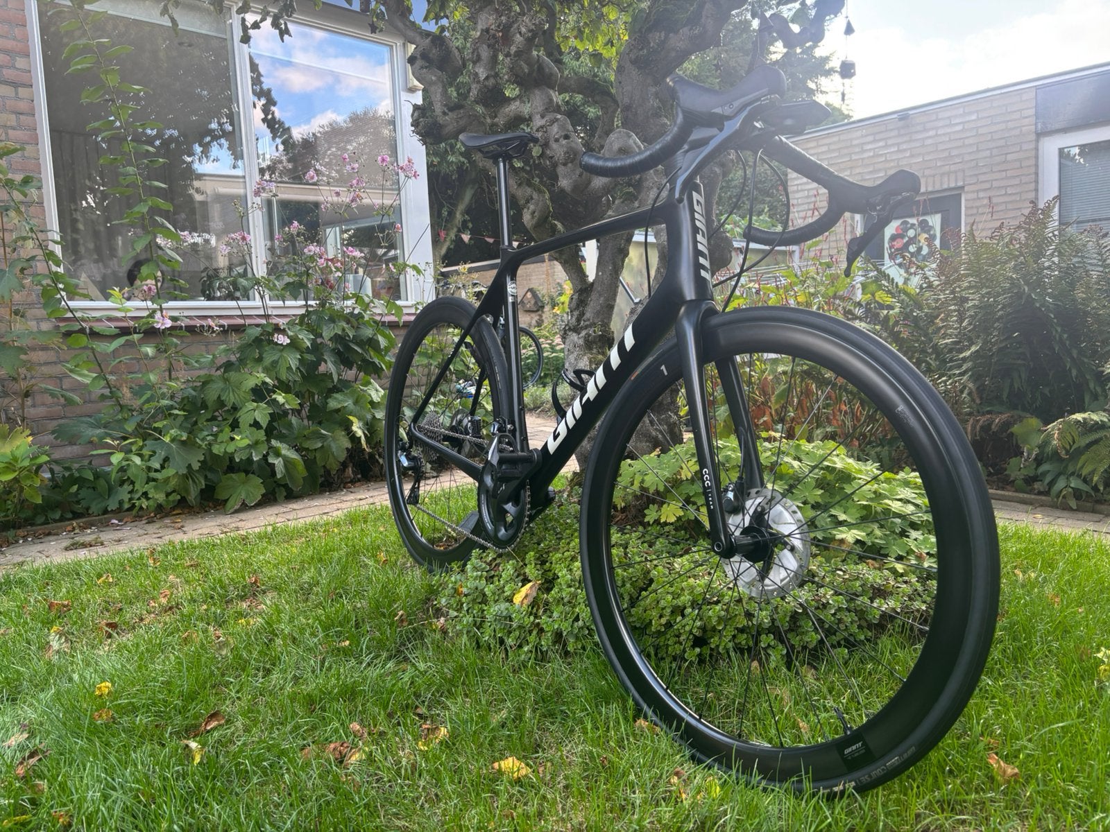 Giant Advanced Pro Team racefiets (7,5 KG) maat L, Carbon, Zo goed als nieuw, Meer dan 20 versnellingen, 53 tot 57 cm