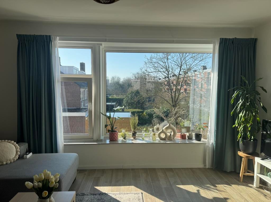 Groene gordijnen Leenbakker, 400cm x 233cm, Ophalen, Zo goed als nieuw, Wit, 200 cm of meer