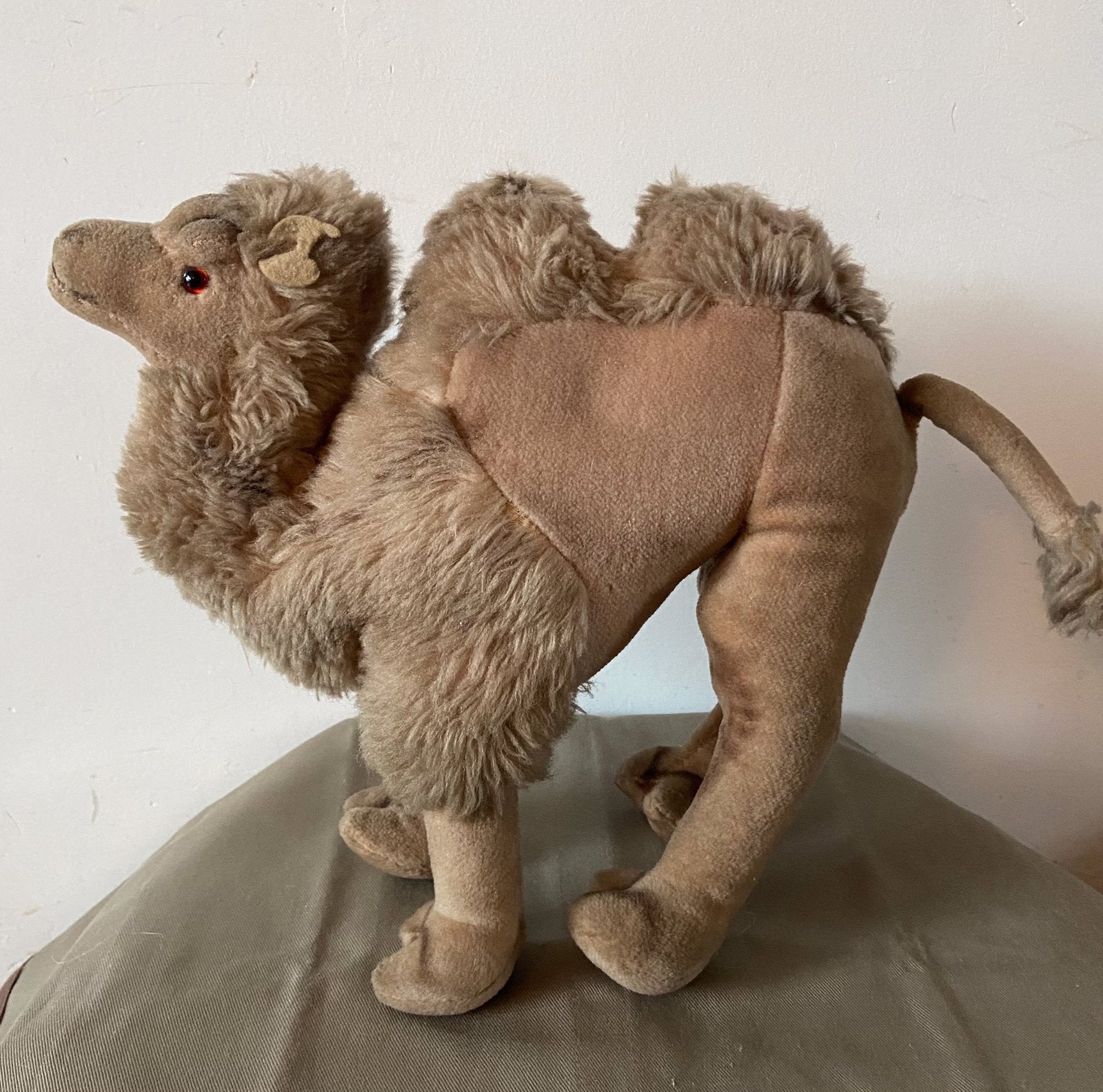 Steiff kameel Cosy Camel, 4890/28, 28cm, Ophalen of Verzenden, Zo goed als nieuw, Overige typen, Steiff