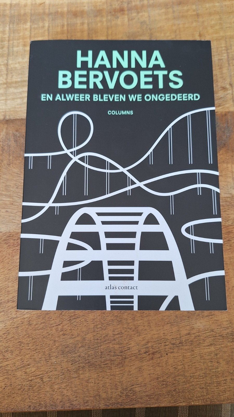 Hanna Bervoets - En alweer bleven we ongedeerd, Boeken, Ophalen of Verzenden, Zo goed als nieuw, Hanna Bervoets