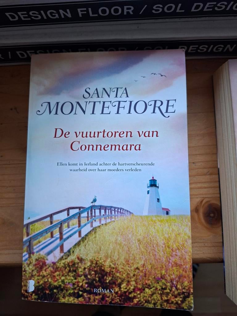 De vuurtorens van Connemara - Santa Montefiore, Boeken, Romans, Europa overig, Ophalen of Verzenden, Santa Montefiore, Zo goed als nieuw