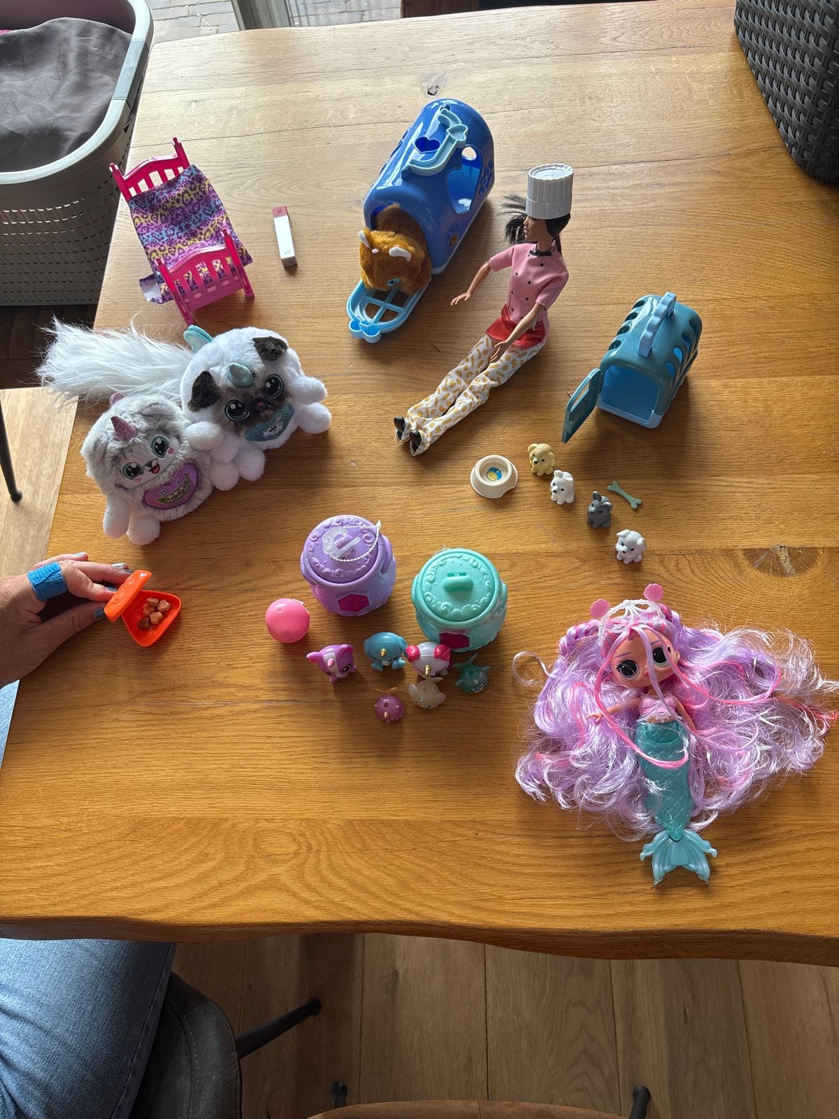 Diverse speelgoedset: Barbie, zeemeermin, puppy's en meer, Ophalen of Verzenden, Gebruikt, Barbie