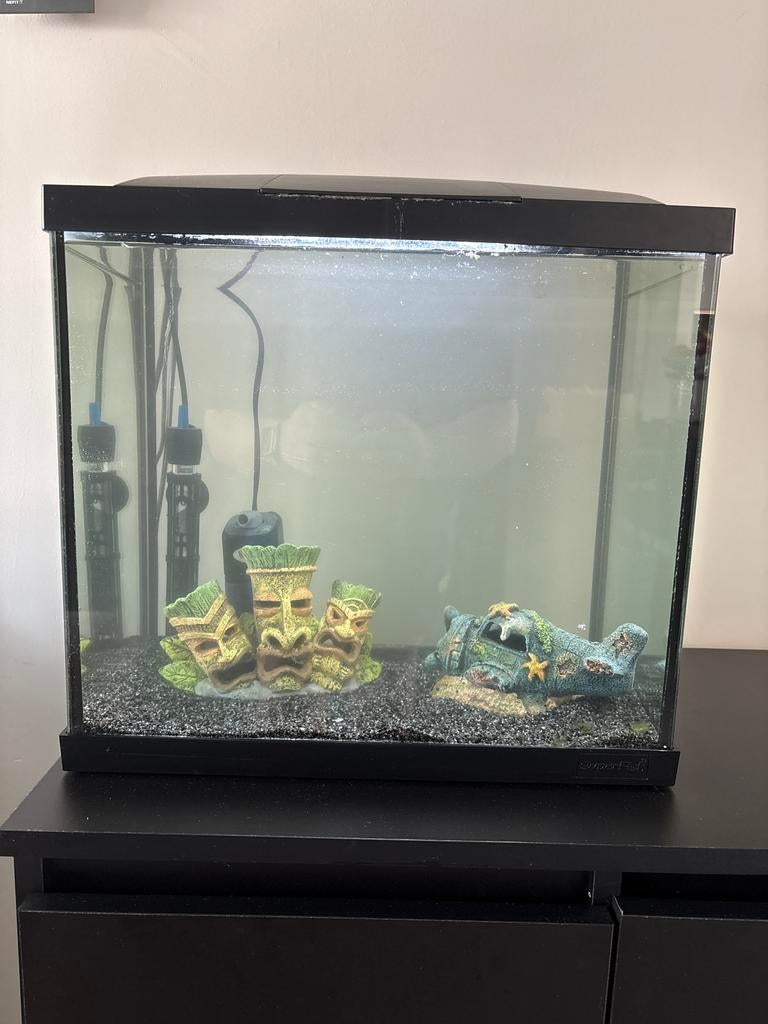 Superfish aquarium overcompleet T.E.A.B, Ophalen, Gebruikt, Gevuld zoetwateraquarium, Superfish