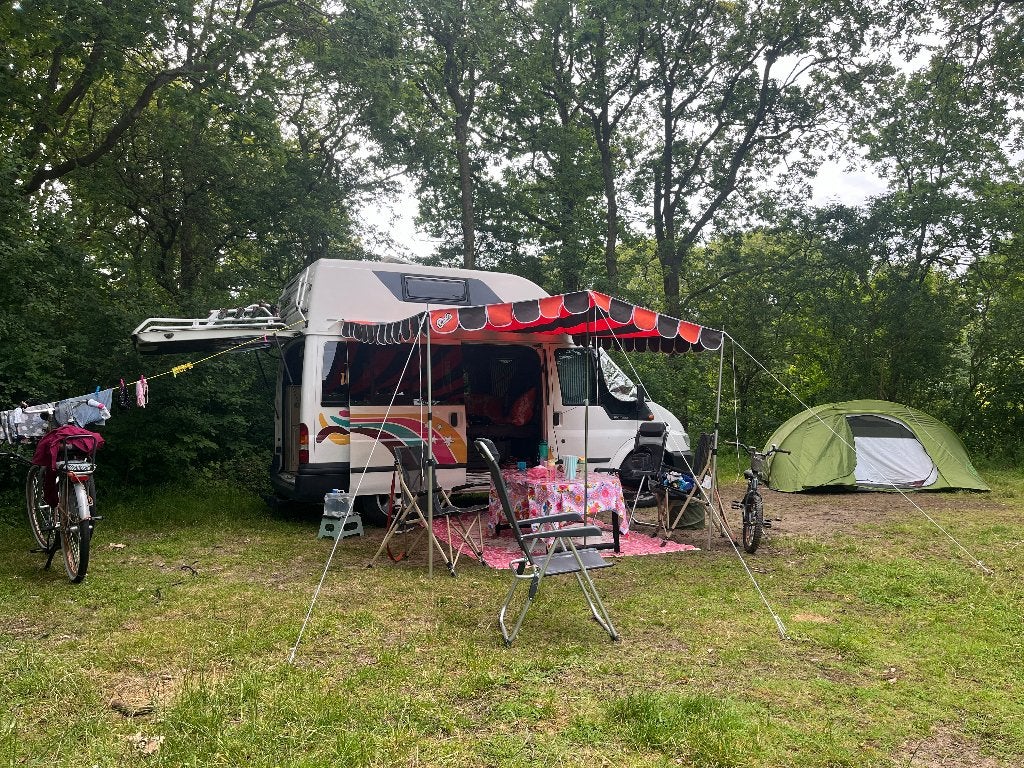 Ford Transit Nugget Westfalia (2002) – Klaar voor gebruik, Ford, Bestuurdersdeur, Bedrijf, Airbags