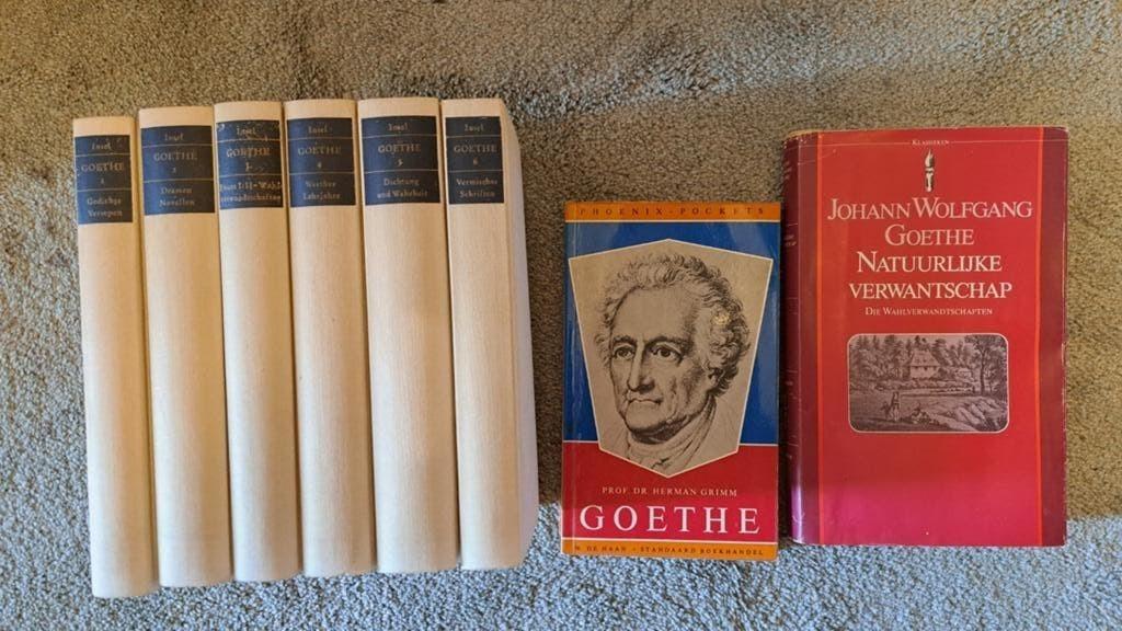 Goethe Verzameld Werk & Natuurlijke Verwantschap, Boeken, Ophalen of Verzenden, Gelezen, Johann Wolfgang von Goethe, Europa overig