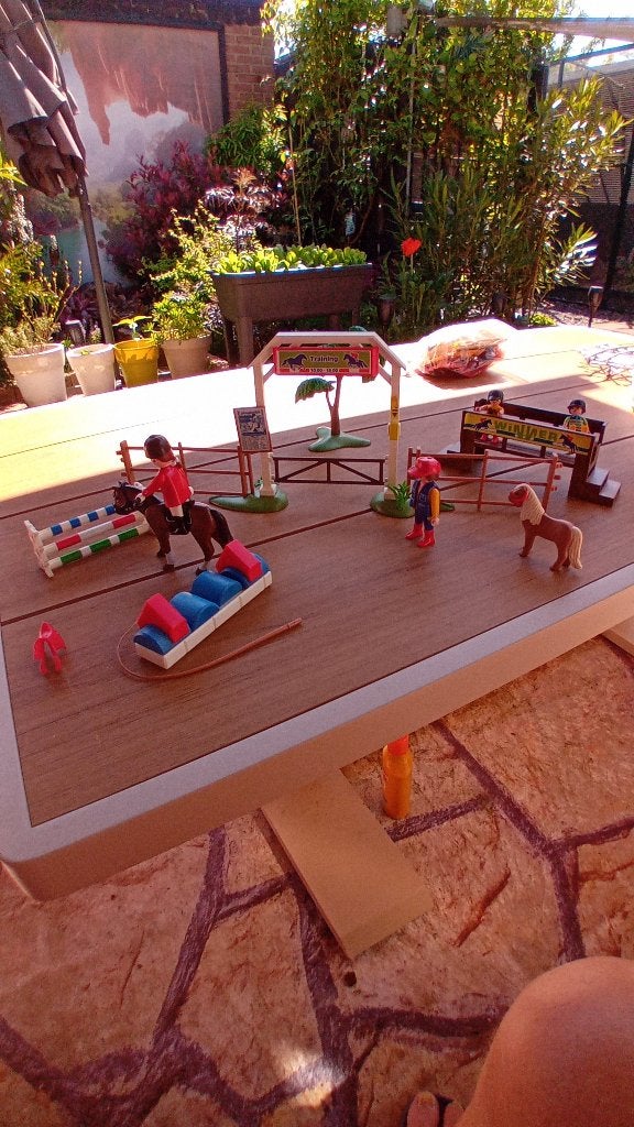 playmobil, Ophalen, Gebruikt, Complete set, Figuren