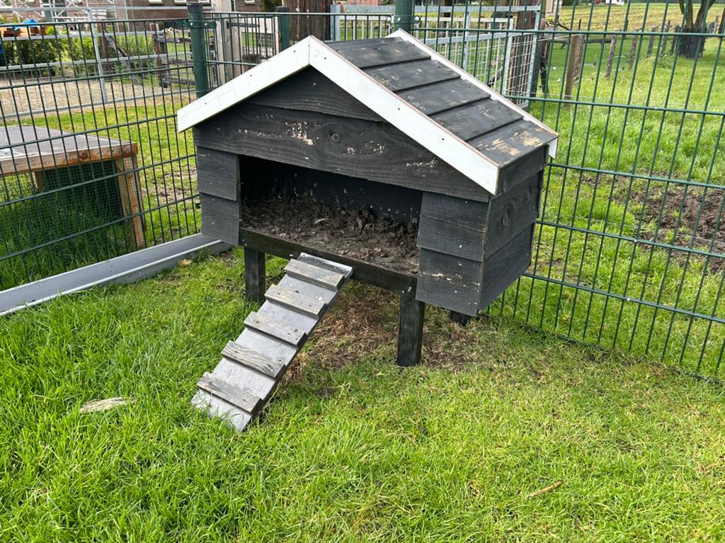 Mooie kippen of eende hok, Ophalen of Verzenden, Zo goed als nieuw, Kippenhok of Kippenren