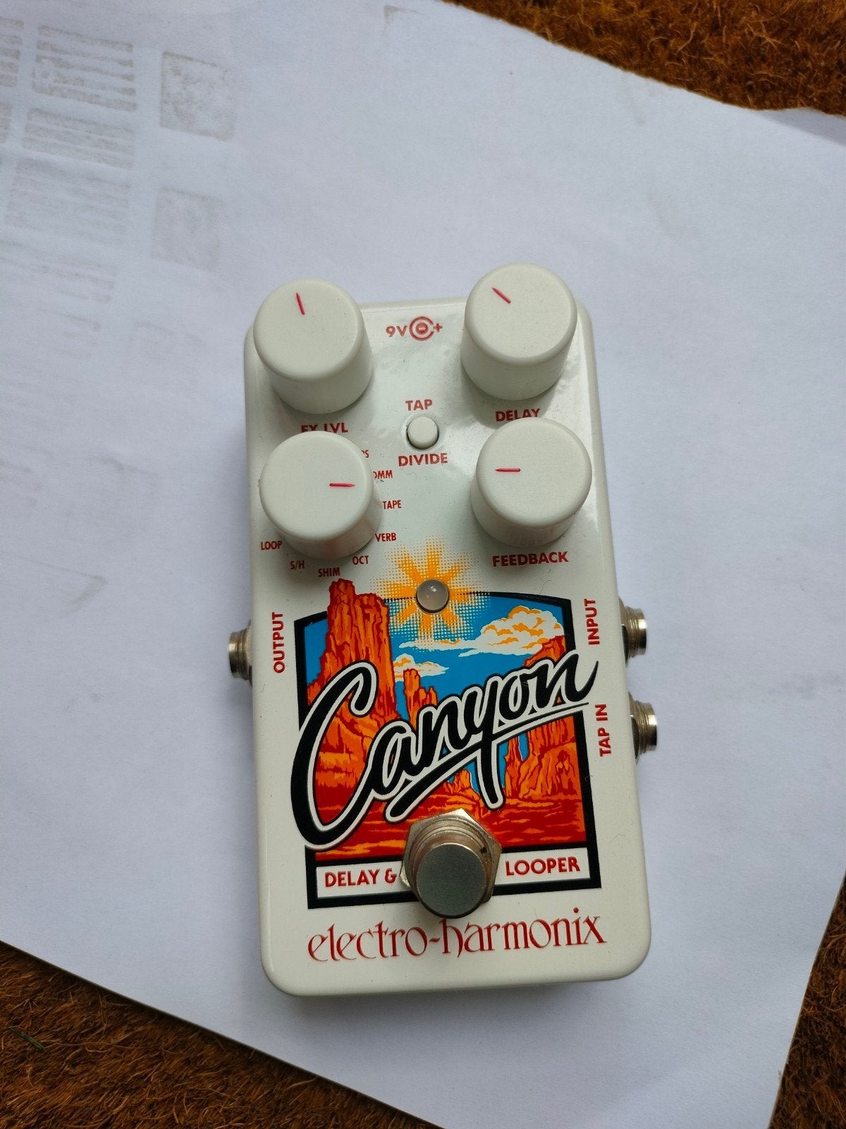 Electro-Harmonix Canyon Delay & Looper Pedaal, Ophalen of Verzenden