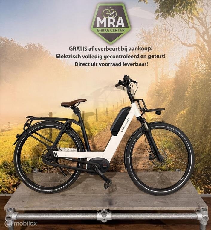 Riese und Muller, Fietsen en Brommers, Elektrische fietsen, Gebruikt, Riese & Müller