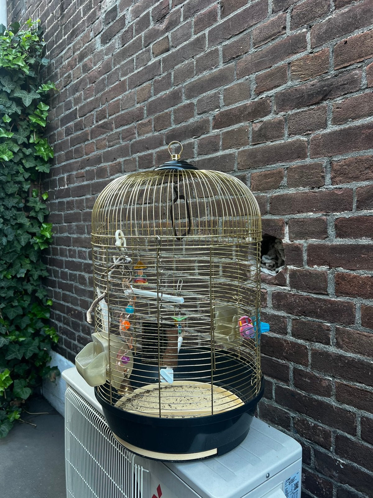 Vogelkooi GRATIS, Dieren en Toebehoren, Ophalen, Gebruikt, Metaal, Vogelkooi
