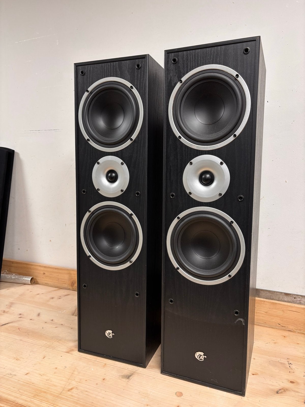 CAT KS 380 S Luidspreker Boxen - 300 Watt Muziekvermogen, Vloerstaande luidspreker, Zo goed als nieuw, Basreflex, Ophalen