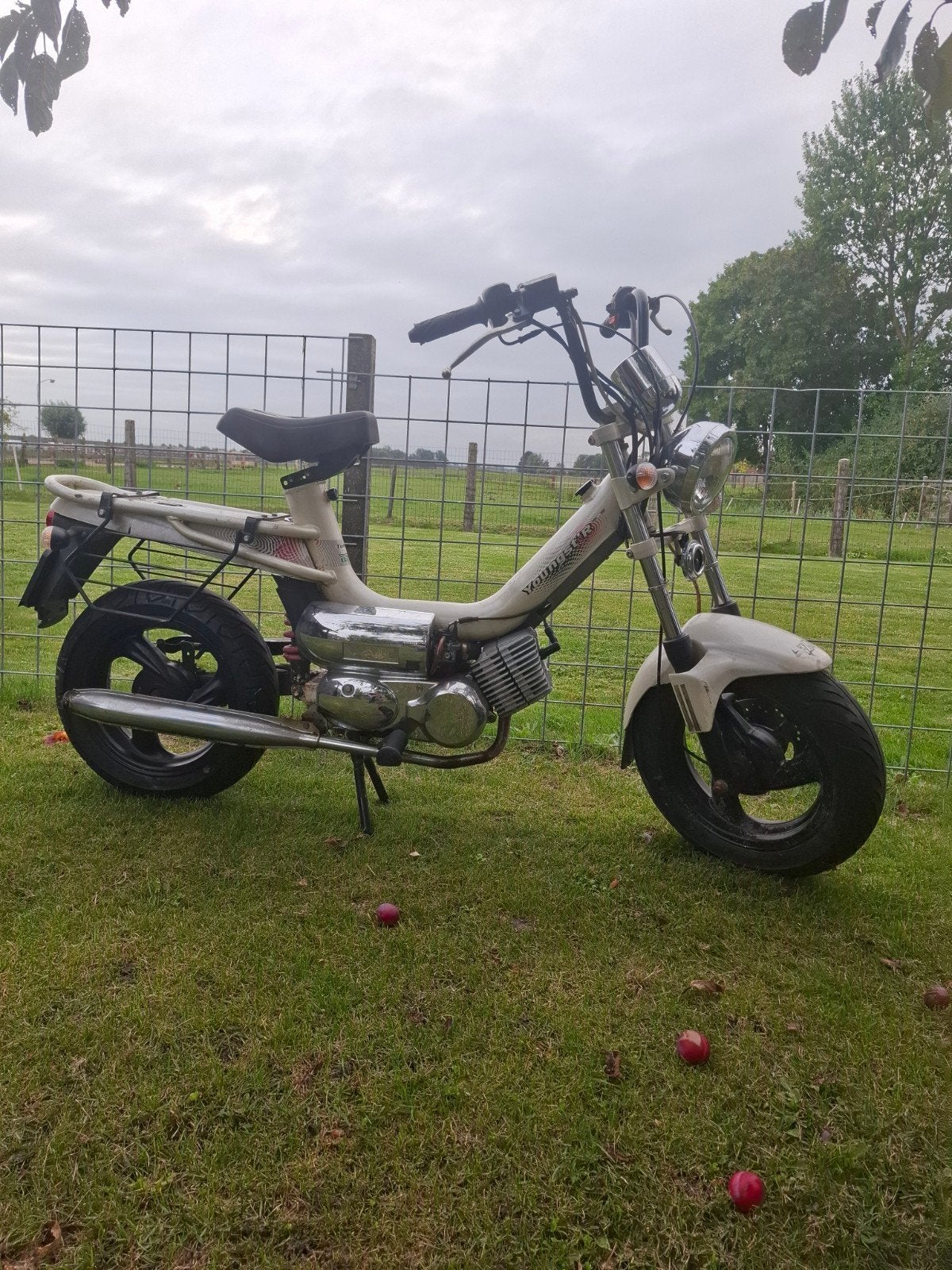originele tomos youngster blauw kenteken, Fietsen en Brommers, Ophalen, Gebruikt, Overige modellen