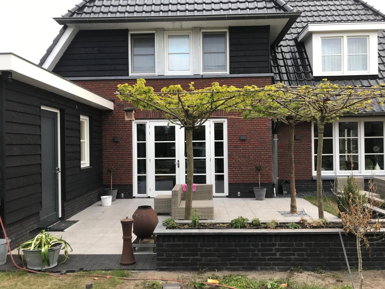 dak moerbei boom, Ophalen, Volle zon, Overige soorten