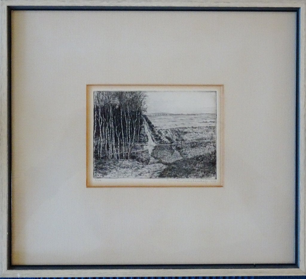 Fraai etsje van Ton Kwinkelenberg van een landschap, Ophalen of Verzenden, Landschap, Ets, Genummerd