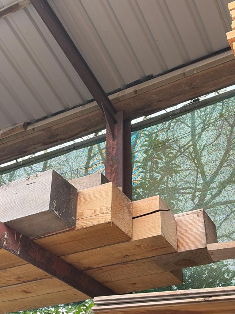 Douglas balken 20x20 cm - 2,5 en 3 meter lengte, Ophalen, Nieuw, 250 tot 300 cm, 50 mm of meer