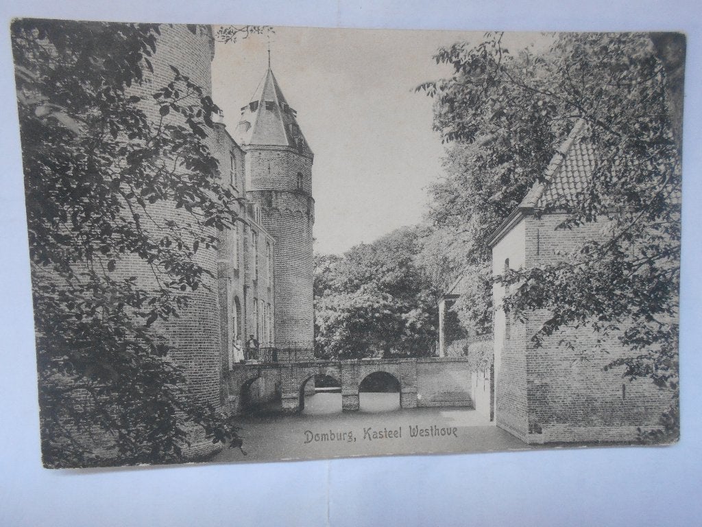 Domburg, Kasteel Westhove oude unieke kaart 1910 Westhove, Ophalen of Verzenden, Voor 1920, Ongelopen, Zeeland