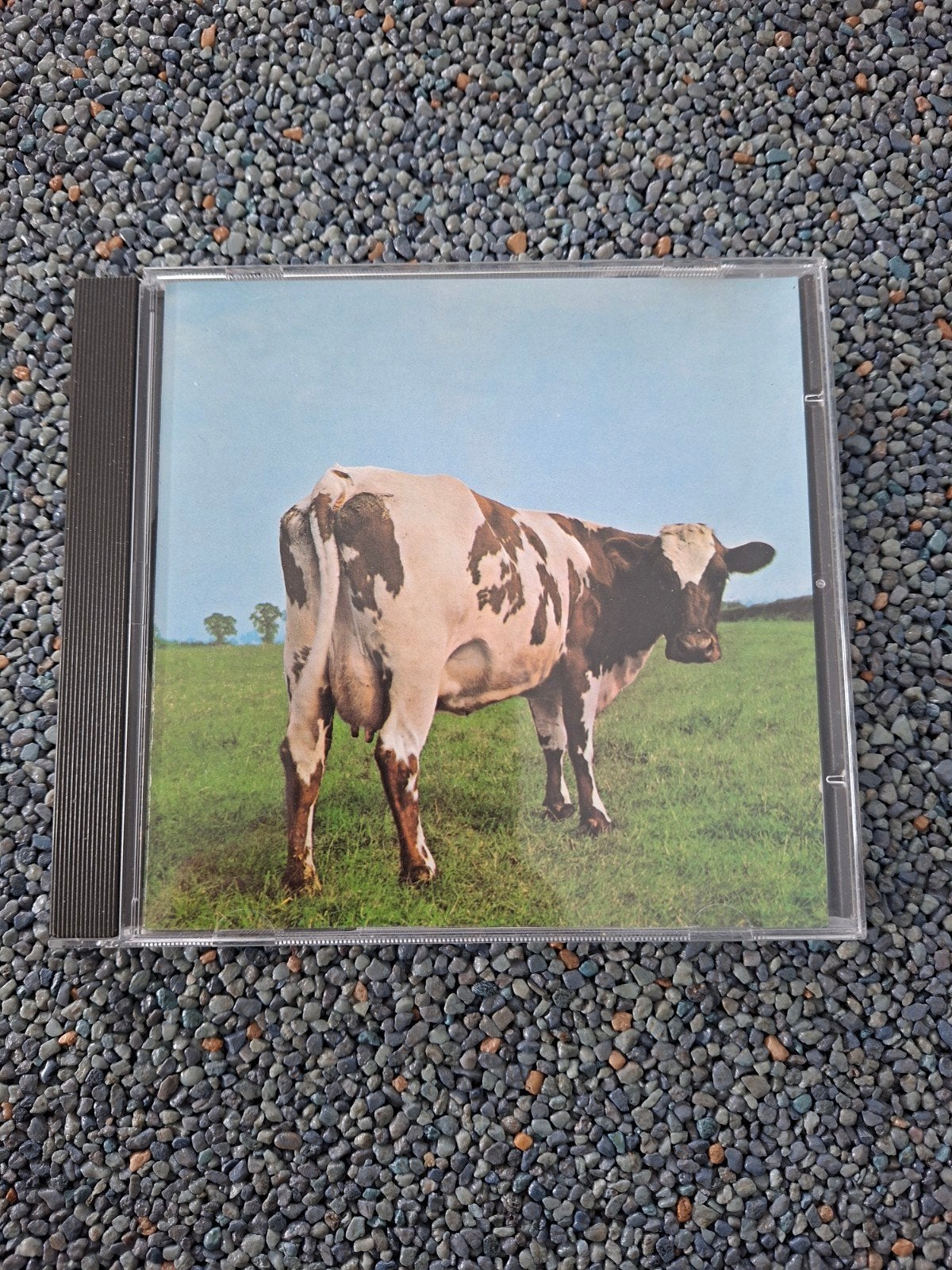 Pink Floyd - Atom Heart Mother CD (Progressive Rock), Ophalen of Verzenden, Zo goed als nieuw, Rock, Album