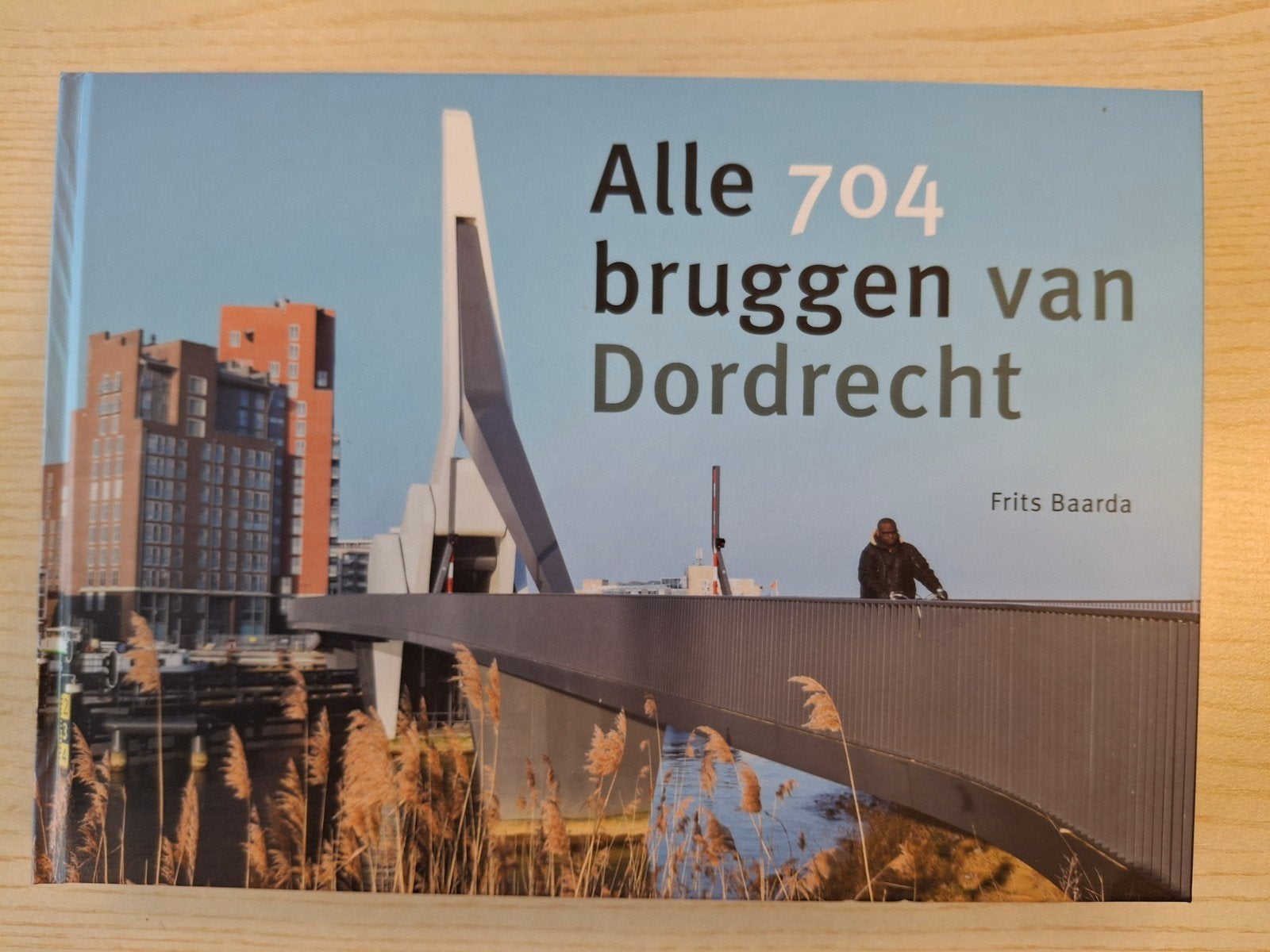 Alle 704 bruggen van Dordrecht - Frits Baarda, Ophalen of Verzenden, 20e eeuw of later, Nieuw, Frits Baarda