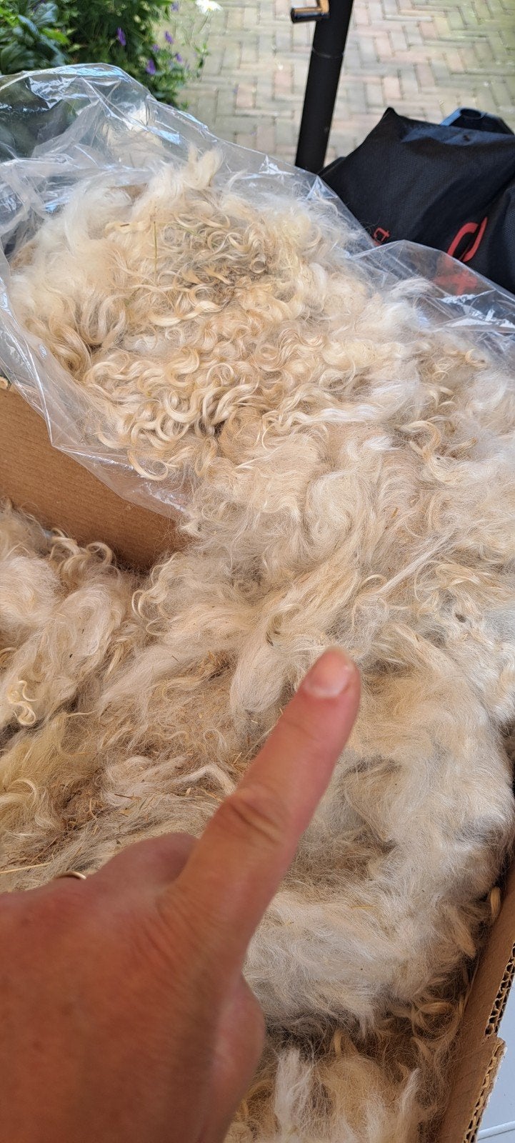 Onbewerkte mohair wol - 1.34 kg mooie lange vezels, Ophalen of Verzenden, Nieuw, Breien of Haken, Wol of Garen