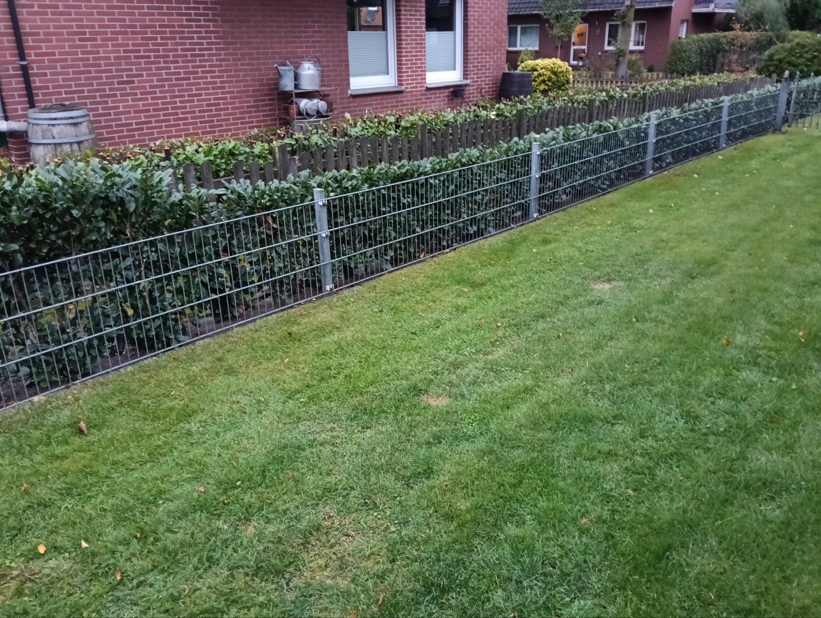 hekwerk dubbelstaafmat 60 cm, Ophalen, IJzer, Dubbelstaafmat hekwerk