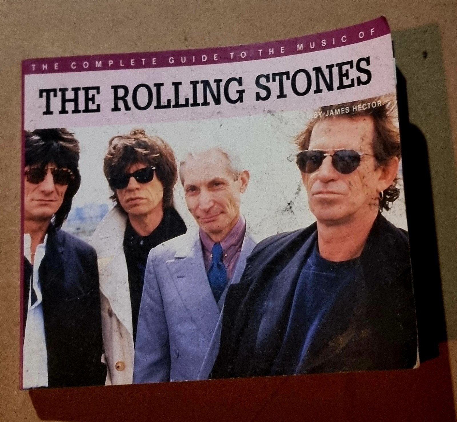 The Rolling Stones: The Complete Guide to their Music, Ophalen of Verzenden, Gelezen, Artiest, James Hector