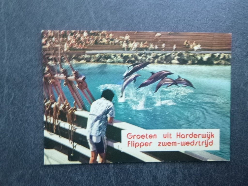 Harderwijk, Flipper zwem-wedstrijden / dolfijnen 1973, Verzenden, 1960 tot 1980, Gelopen, Gelderland