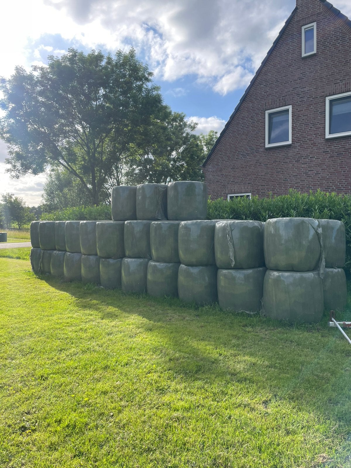 Midi pakken, Ophalen of Verzenden, Vee