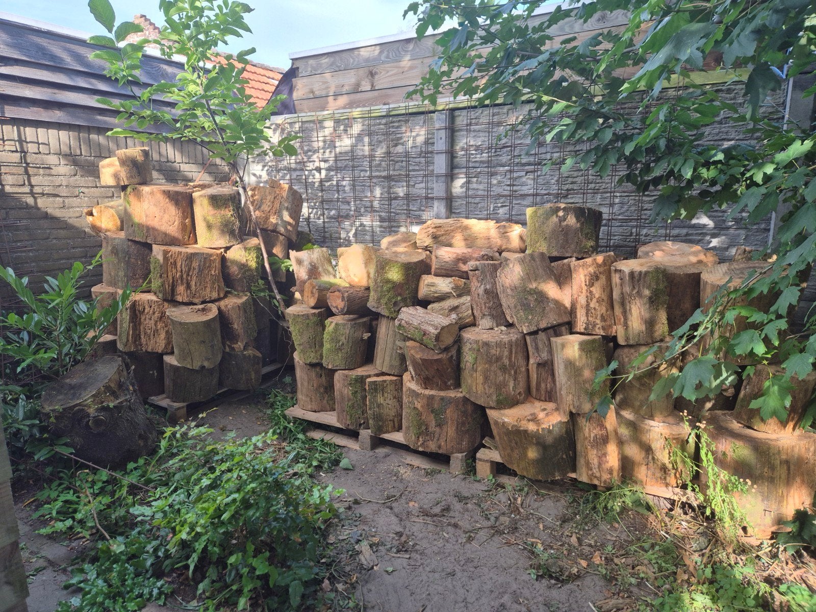 Brandhout: Grote partij hout blokken, 6 m³ of meer, Ophalen of Verzenden, Overige houtsoorten, Blokken