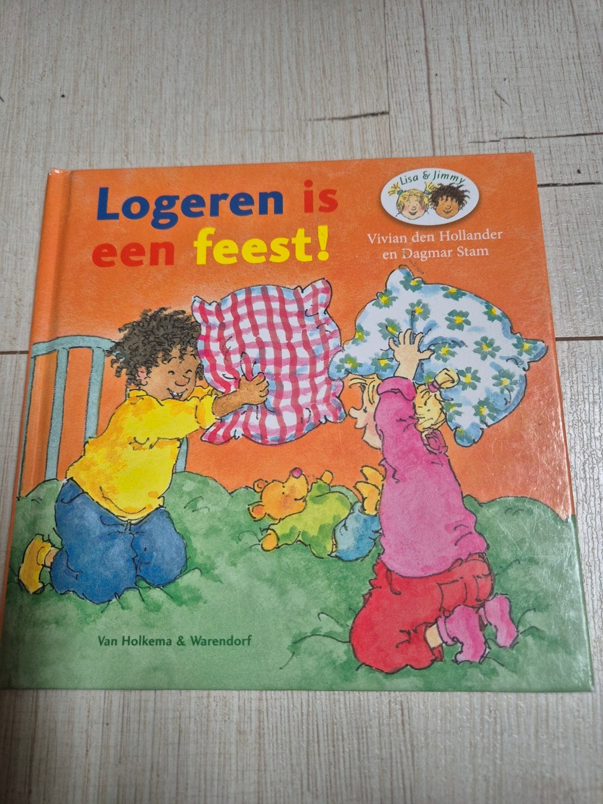 Logeren is een feest! Vivian den Hollander., Boeken, Ophalen, Zo goed als nieuw, Vivian den Hollander, Jongen of Meisje