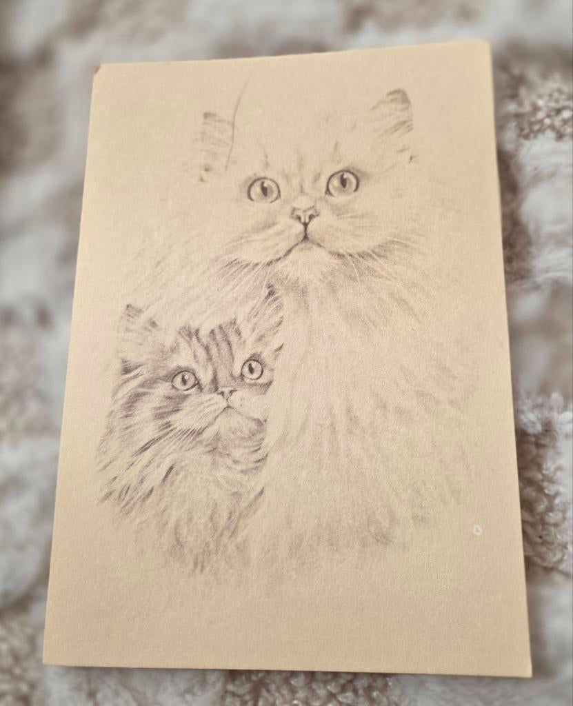 Tekening twee Perzische katten, Verzenden, 1980 tot heden, Ongelopen, Hond of Kat