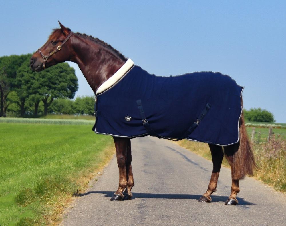 Profi-Rider luxe fleecedeken bontkraag blauw 205 SALE!, Dieren en Toebehoren, Paarden en Pony's | Dekens en Dekjes, Nieuw, Deken