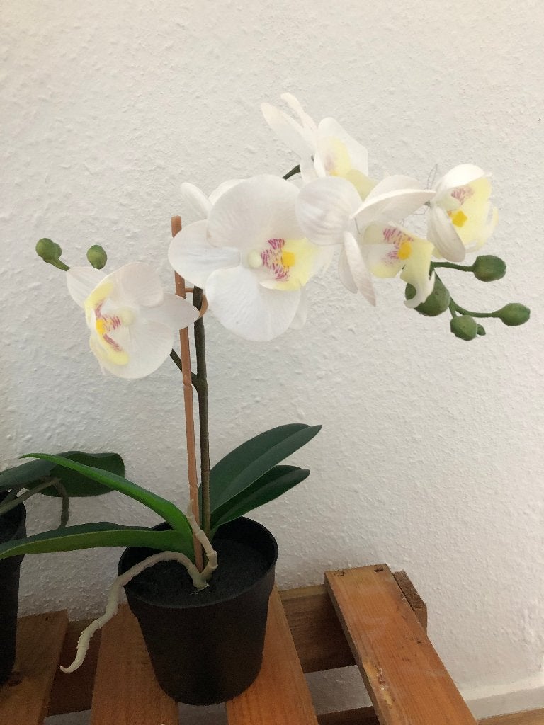 Orchidee kunst plant 30 cm, Ophalen, Zo goed als nieuw