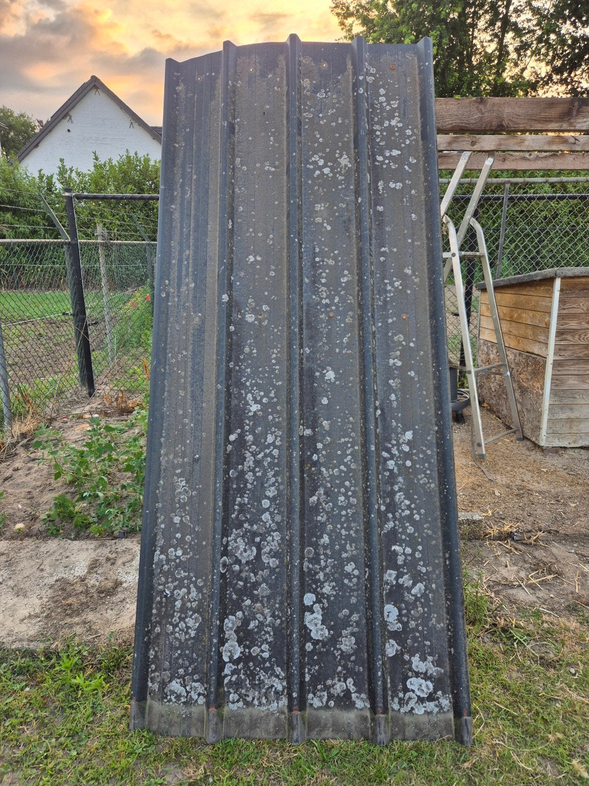 Damwand platen 4 stuks, Ophalen