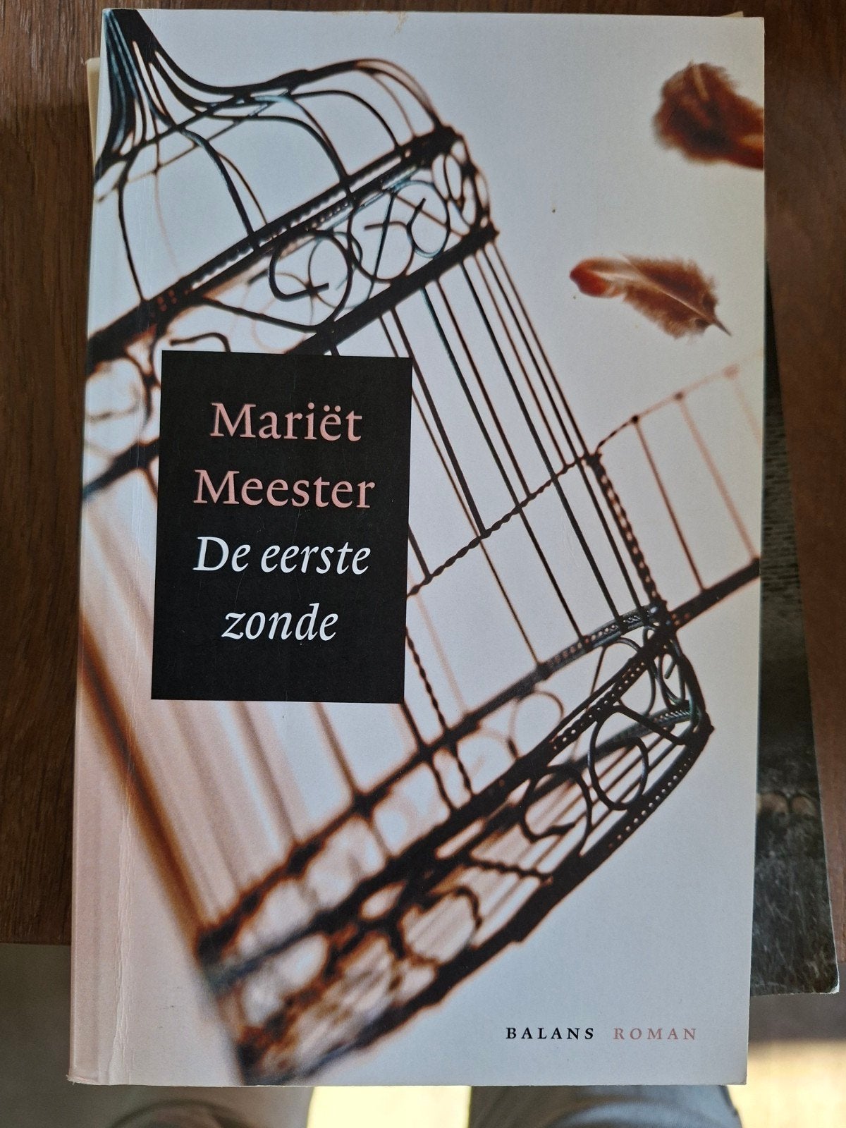 Mariët Meester - De eerste zonde (Roman), Boeken, Ophalen of Verzenden, Zo goed als nieuw, Mariët Meester, Nederland