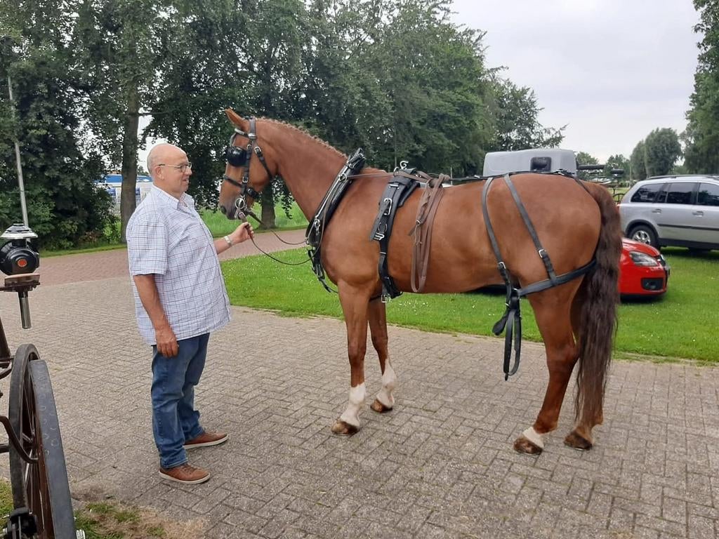 Ideal enkelspan gareeltuig  zgan, Ophalen, Zo goed als nieuw, Overige soorten
