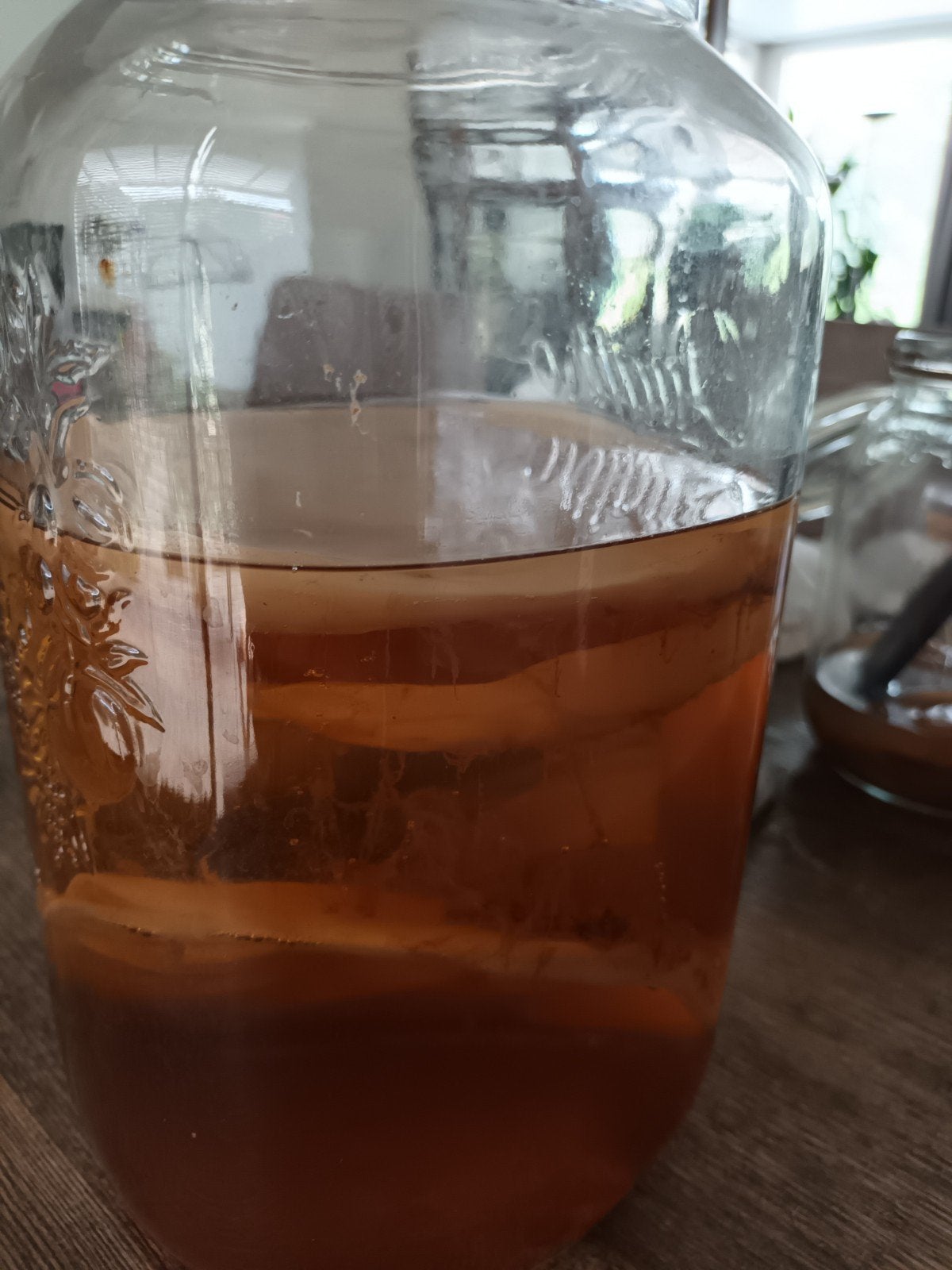Scoby om kombucha te maken, Diversen, Levensmiddelen, Ophalen
