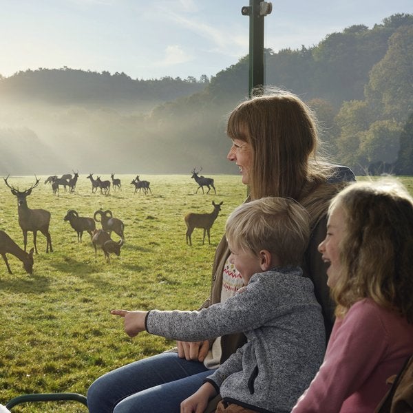 4 entreetickets voor Grotten van Han, Tickets en Kaartjes, Twee personen, Ticket of Toegangskaart