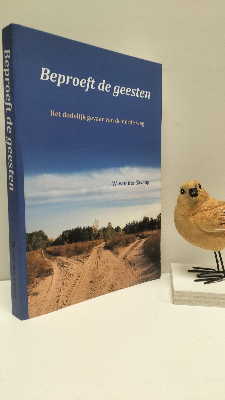 Zwaag, W. van der; Beproeft de geesten, Ophalen of Verzenden, Gelezen, Christendom | Protestants