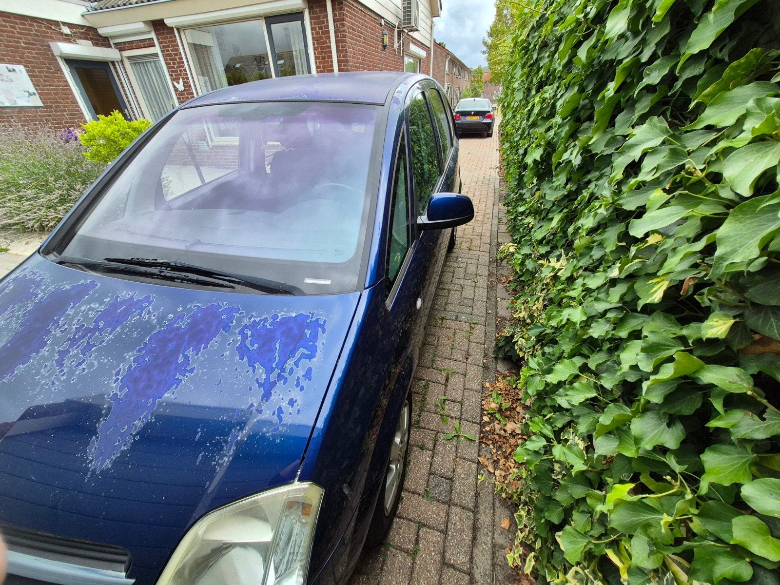 Opel, Ophalen of Verzenden, Opel