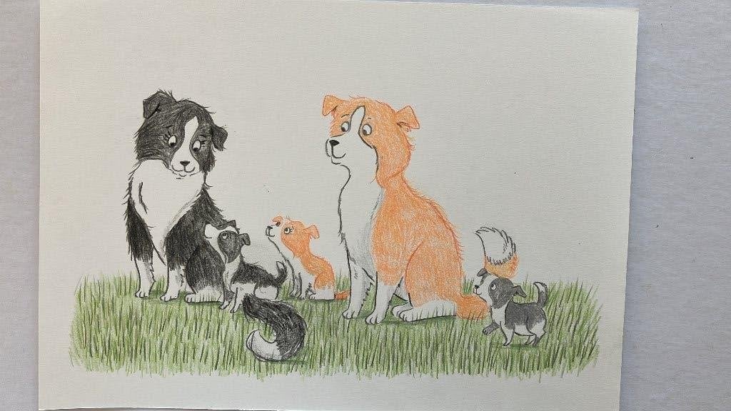 Kinderkamer tekening Border Collies, Ophalen of Verzenden, Handgemaakt, Wanddecoratie