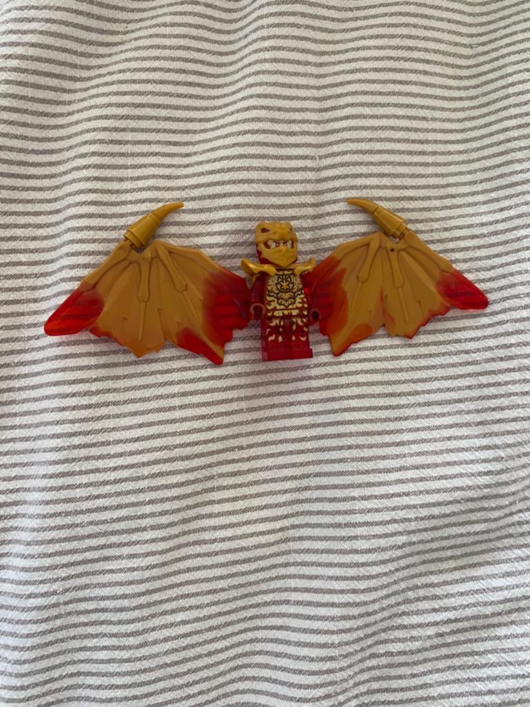 Lego Ninjago, Ophalen of Verzenden