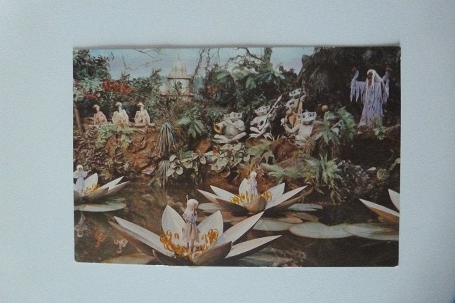 Kaatsheuvel Efteling waterlelies, Ophalen, 1960 tot 1980, Gelopen, Noord-Brabant