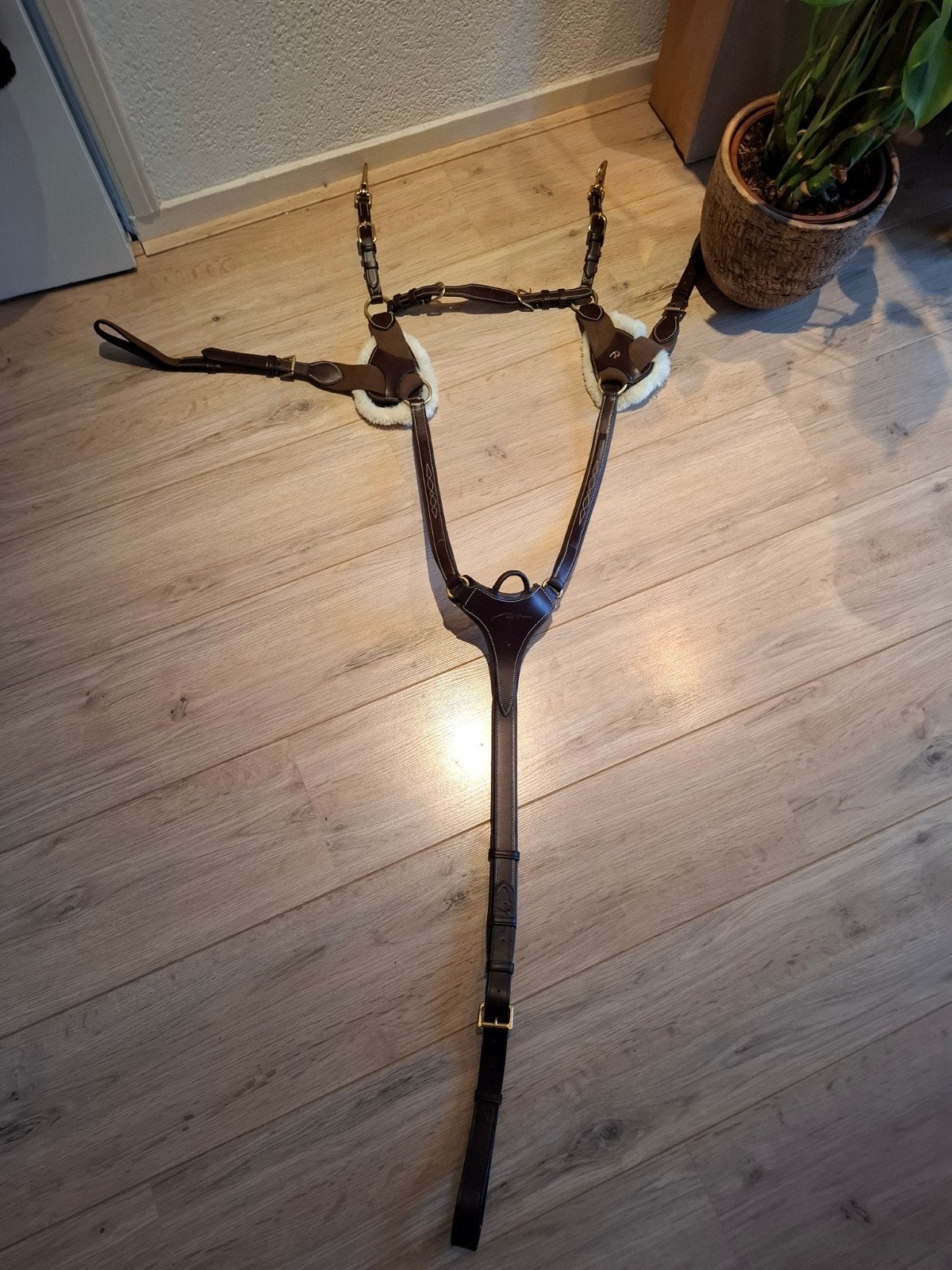 Dy'on 5 punts borsttuig maat full /nieuw, Springen, Bruin, Verstelbaar, Nieuw